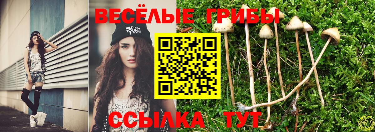 Лесной  Галлюциногенные грибы прущие грибы  Вход с VPN 