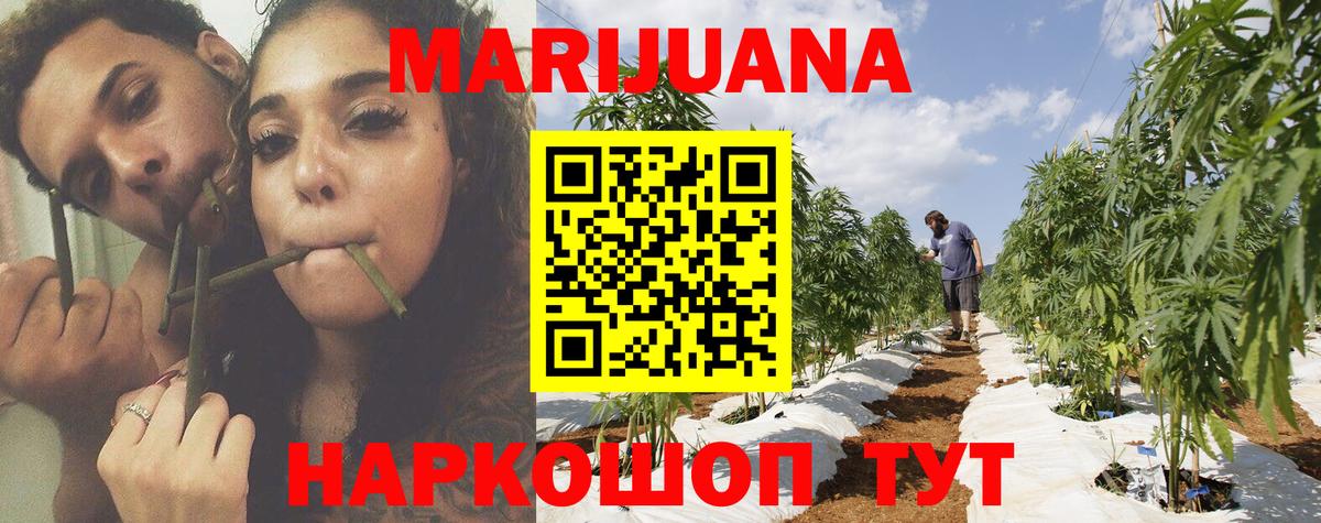 Бошки Шишки индика Лесной